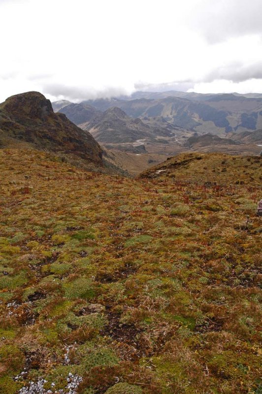 Top of Papallacta Pass