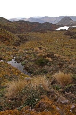 Paramo Lakes