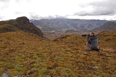 Photographing the Paramo Ground-Tyrant