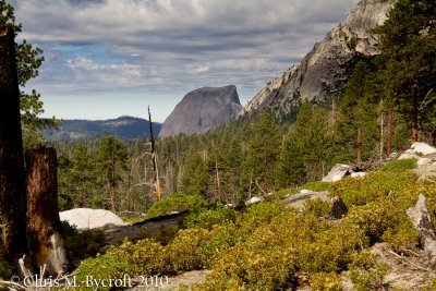 Above Sunrise Creek.  Last view of Half Dome while heading towards Sunrise Mountain