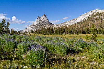 Meadow and Cathedral Peak