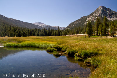 Meadows of Lyell Canyon