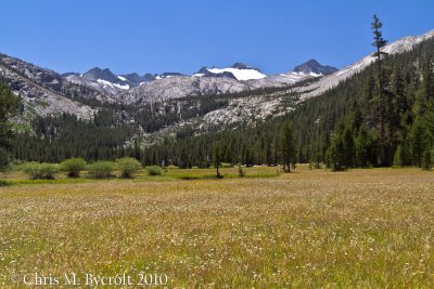 Meadows of upper Lyell Canyon.  Route to Donohue Pass ahead.