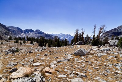Alpine basins north of Pinchot Pass