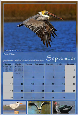 2011 Photo Calendar