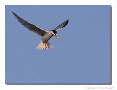 g1/66/725466/3/112628199.Lr9mqbmh.jpg