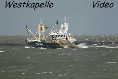 Westkapelle - Fishingboat - Gulls