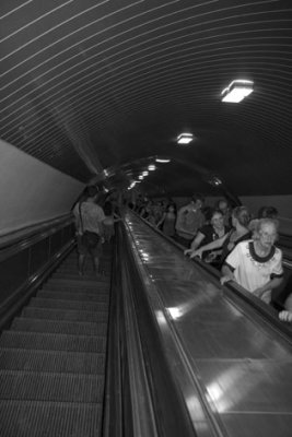 IMG_6900-365.jpg