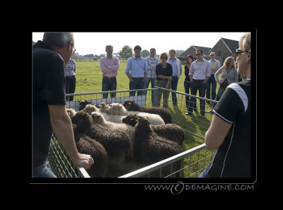 Some more briefing