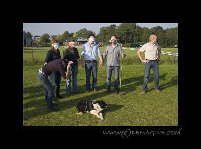 The other team