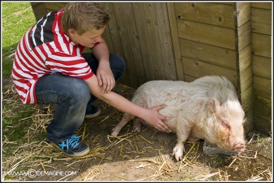 Lammetjesdag 2009