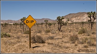 When you have a dip, please stand here