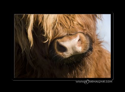 Nosy :-)