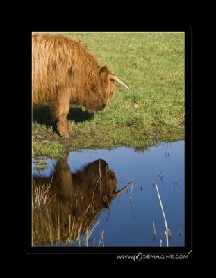 Mirror, mirror on the wall...
