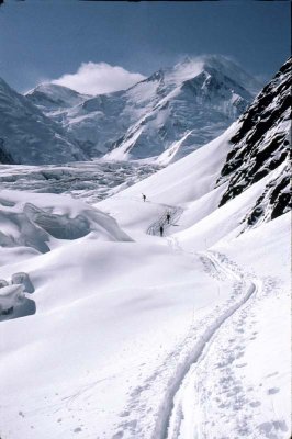 Denali Photo Journal