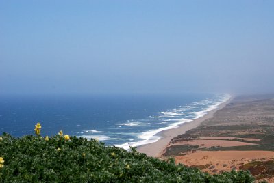 Pt. Reyes National Seashore