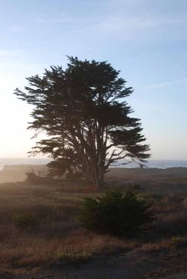 Mendocino Coast, 9-09