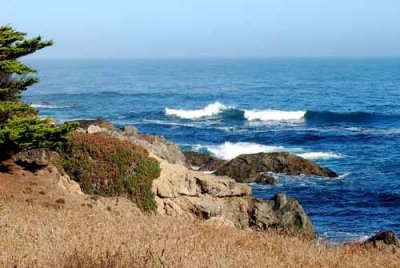 Mendocino Coast, 9-09