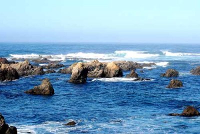 Mendocino Coast, 9-09