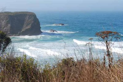 Mendocino Coast, 9-09