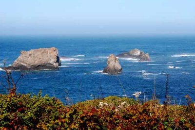 Mendocino Coast, 9-09