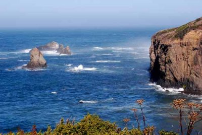 Mendocino Coast, 9-09