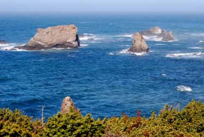 Mendocino Coast, 9-09