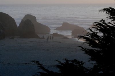 Mendocino Coast, 9-09