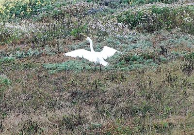 Bodega Bay  & The Sonoma Coast