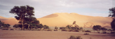 Sossusvlei3.jpg