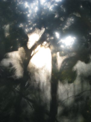 g1/66/866766/3/116254878.IBwst87B.jpg