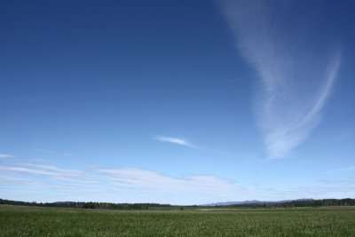 Vanderhoof Sky.jpg