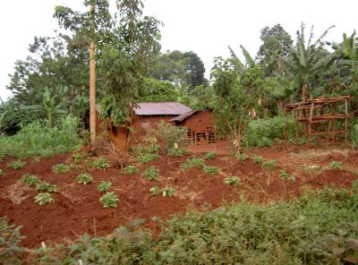 africa_2003_025.jpg
