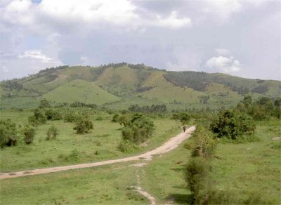 africa_2003_032.jpg