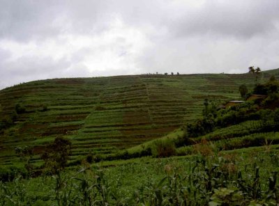 africa_2003_035.jpg