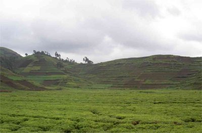 africa_2003_036.jpg