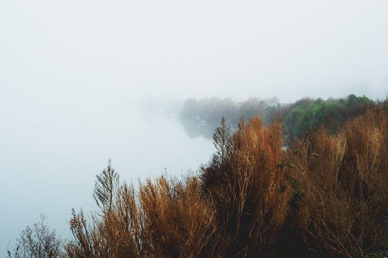 ...the fog obliterated the road ahead....