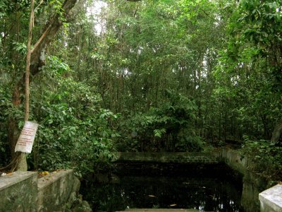 Iringolkkavu Temple Pond.jpg