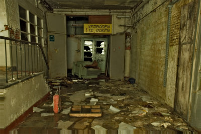 DSC_2966a.jpg