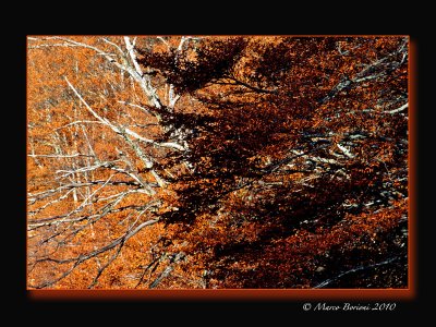 Autunno-marchigiano-06.jpg