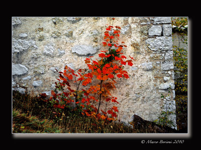 autunno_marchigiano_italia