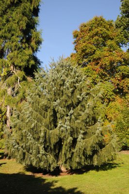 DSC_7458.jpg