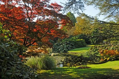 DSC_7470.JPG