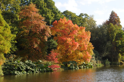 Sheffield Park October 2008