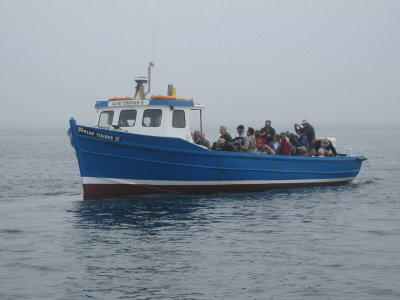 One of the other Billy Shiel boats on the way out to Farne Islands