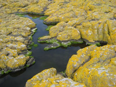Staple Island rocks
