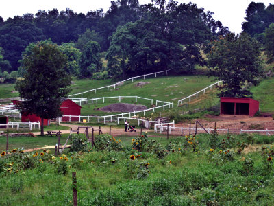 Muscoot Farm