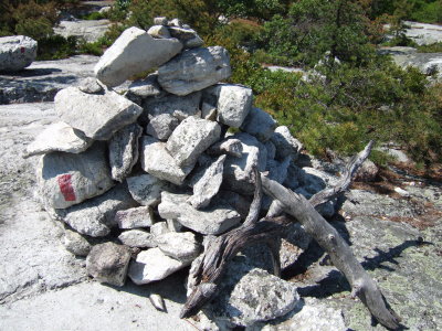 Cairn and Weathered Wood