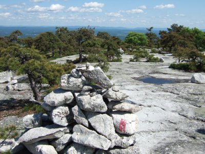Cairn and Pitch Pine Barren