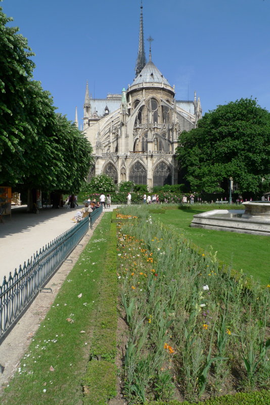 P1000675.jpg